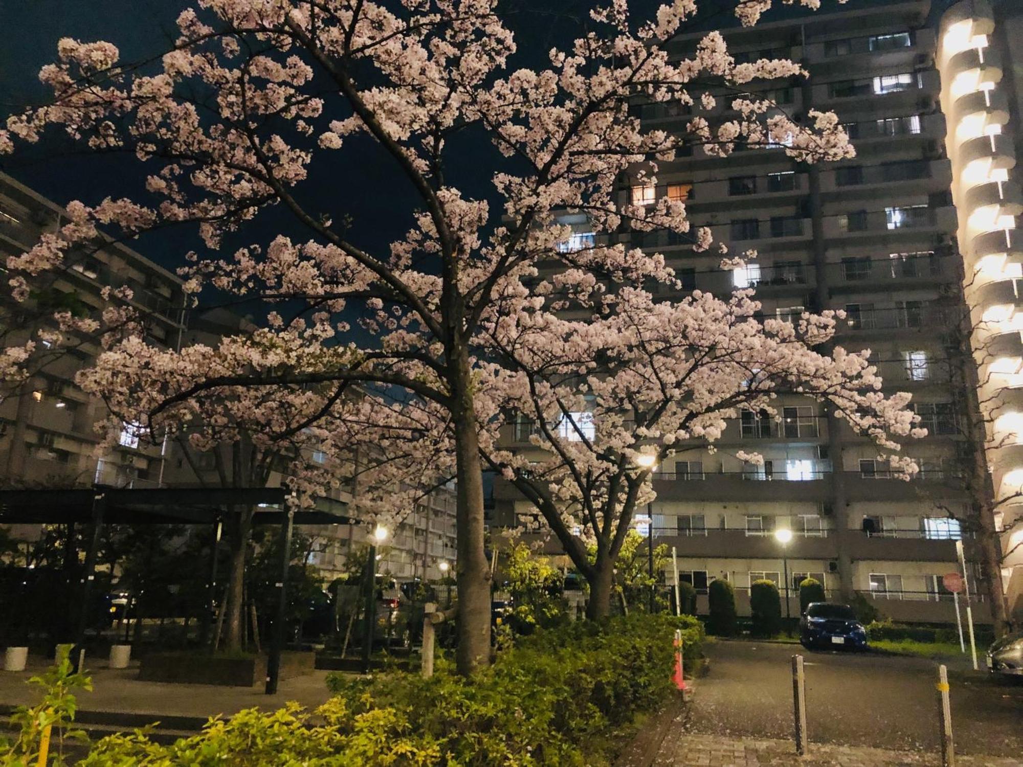 Jl 東京 House - 駐車場付き築浅のまるごと貸切住宅 Tokio Zewnętrze zdjęcie